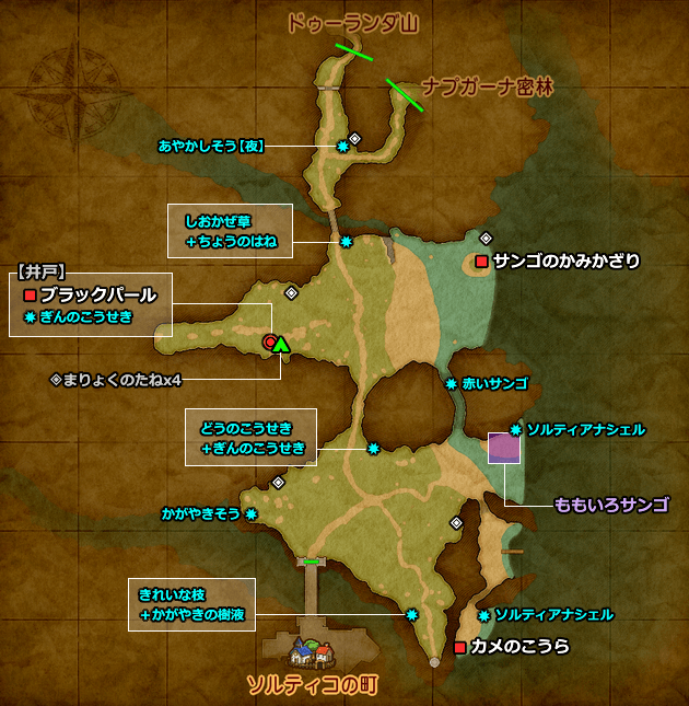 ドラクエ11 PS4「ソルティアナ海岸」の地図／マップ